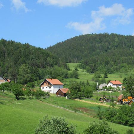 Planinski Mir Zaovine Bagian luar foto