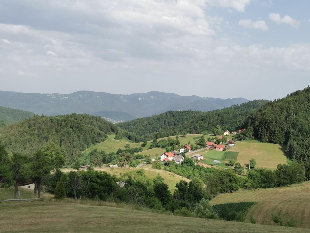 Planinski Mir Zaovine Bagian luar foto
