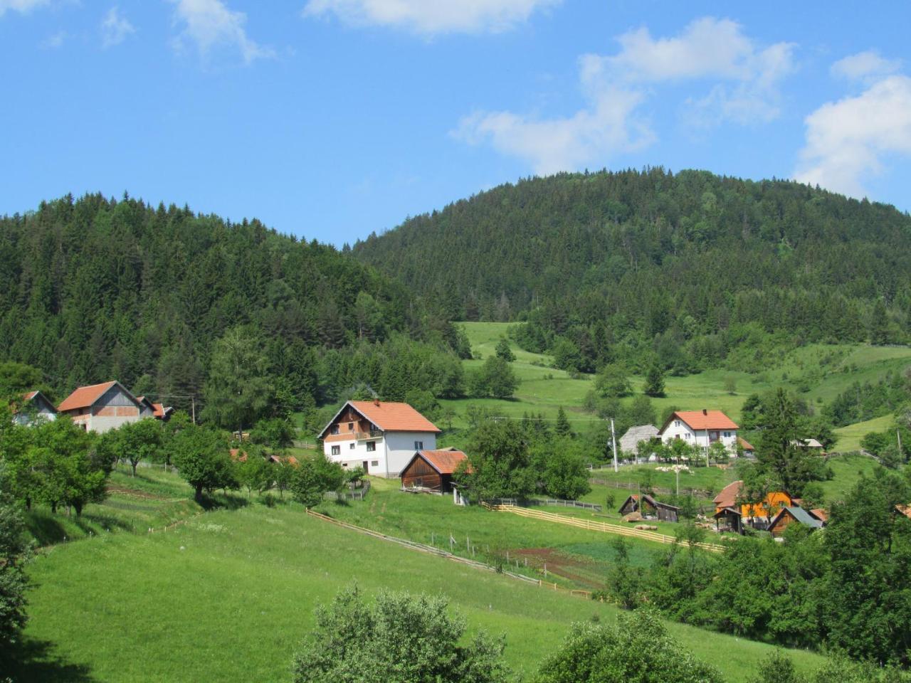 Planinski Mir Zaovine Bagian luar foto