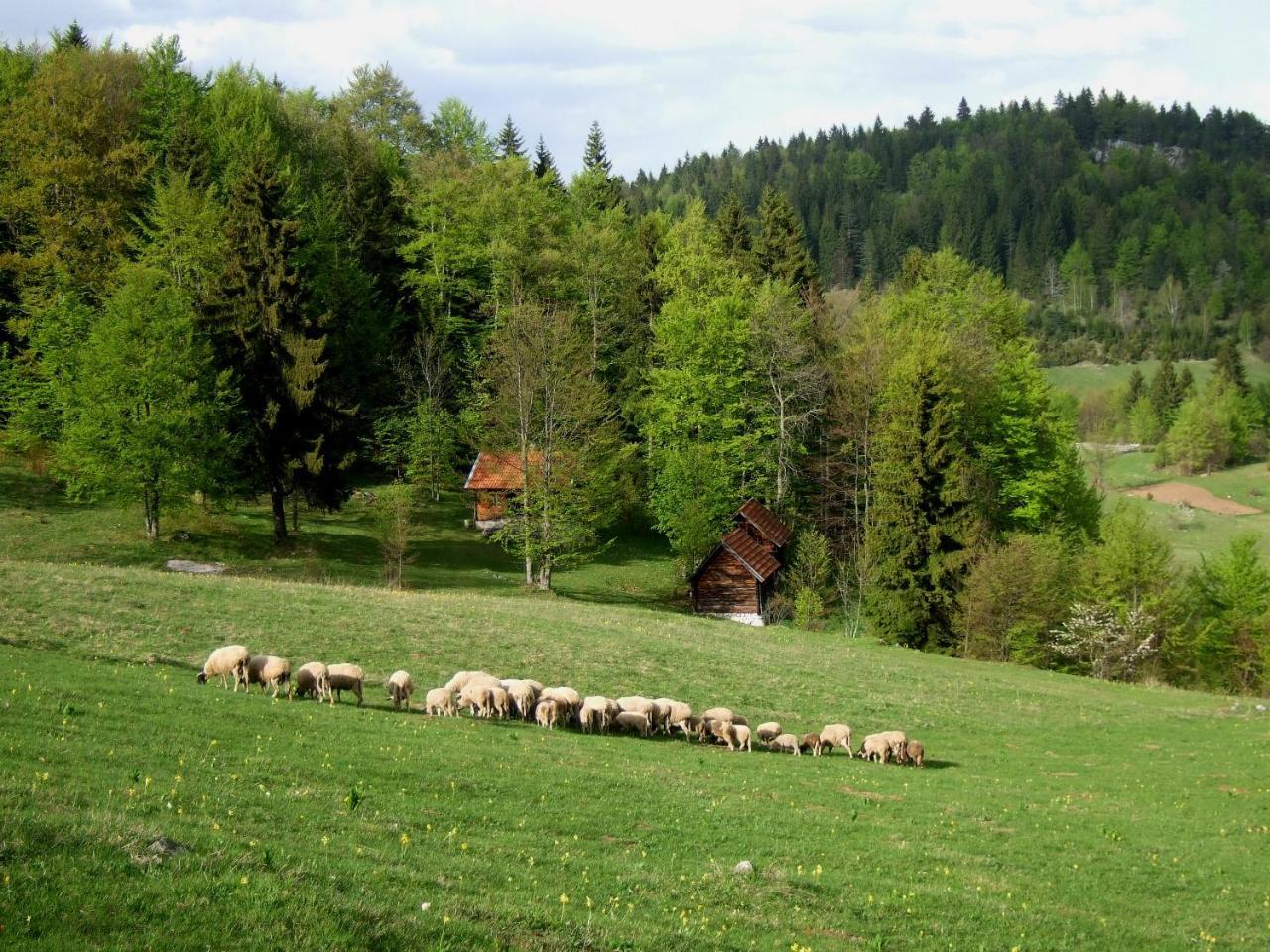 Planinski Mir Zaovine Bagian luar foto