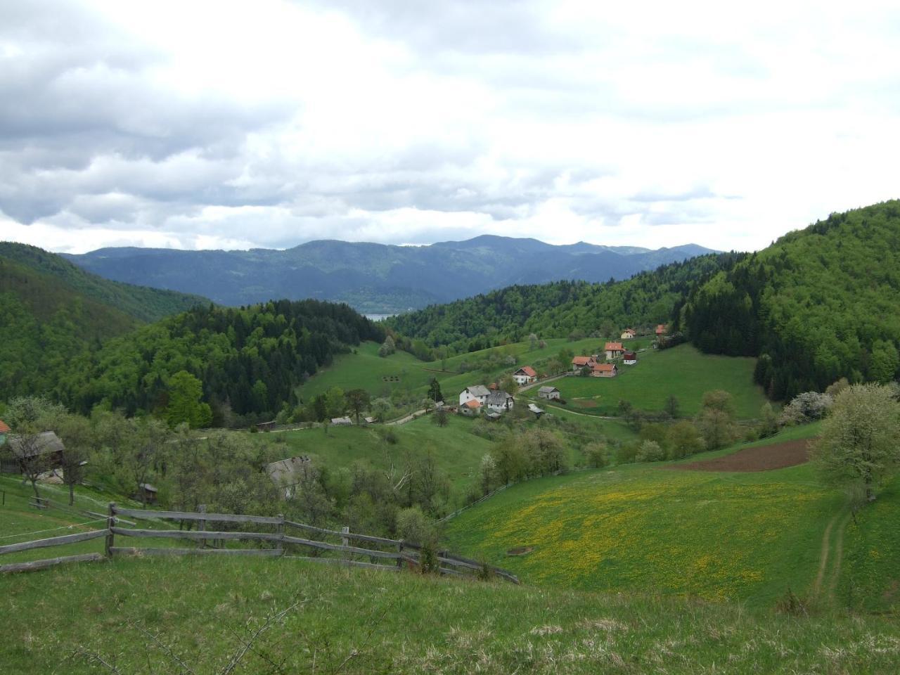 Planinski Mir Zaovine Bagian luar foto
